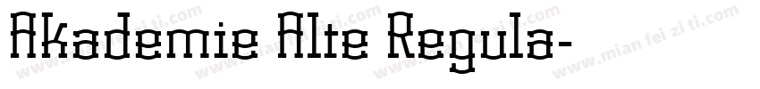 Akademie Alte Regula字体转换